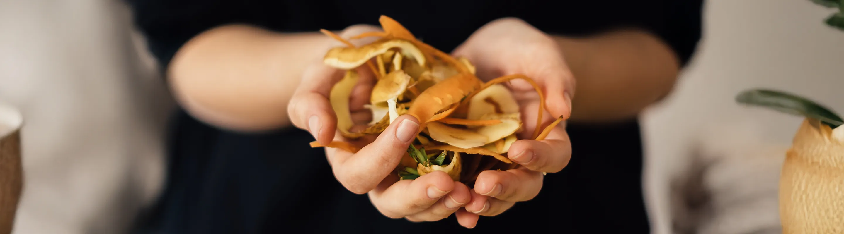 Food Waste Management