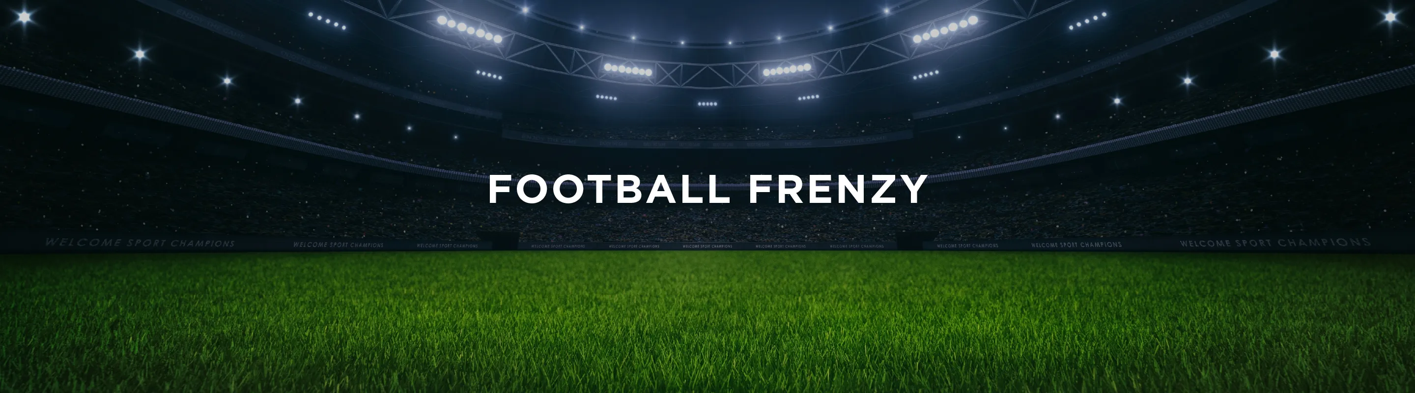 Football Frenzy